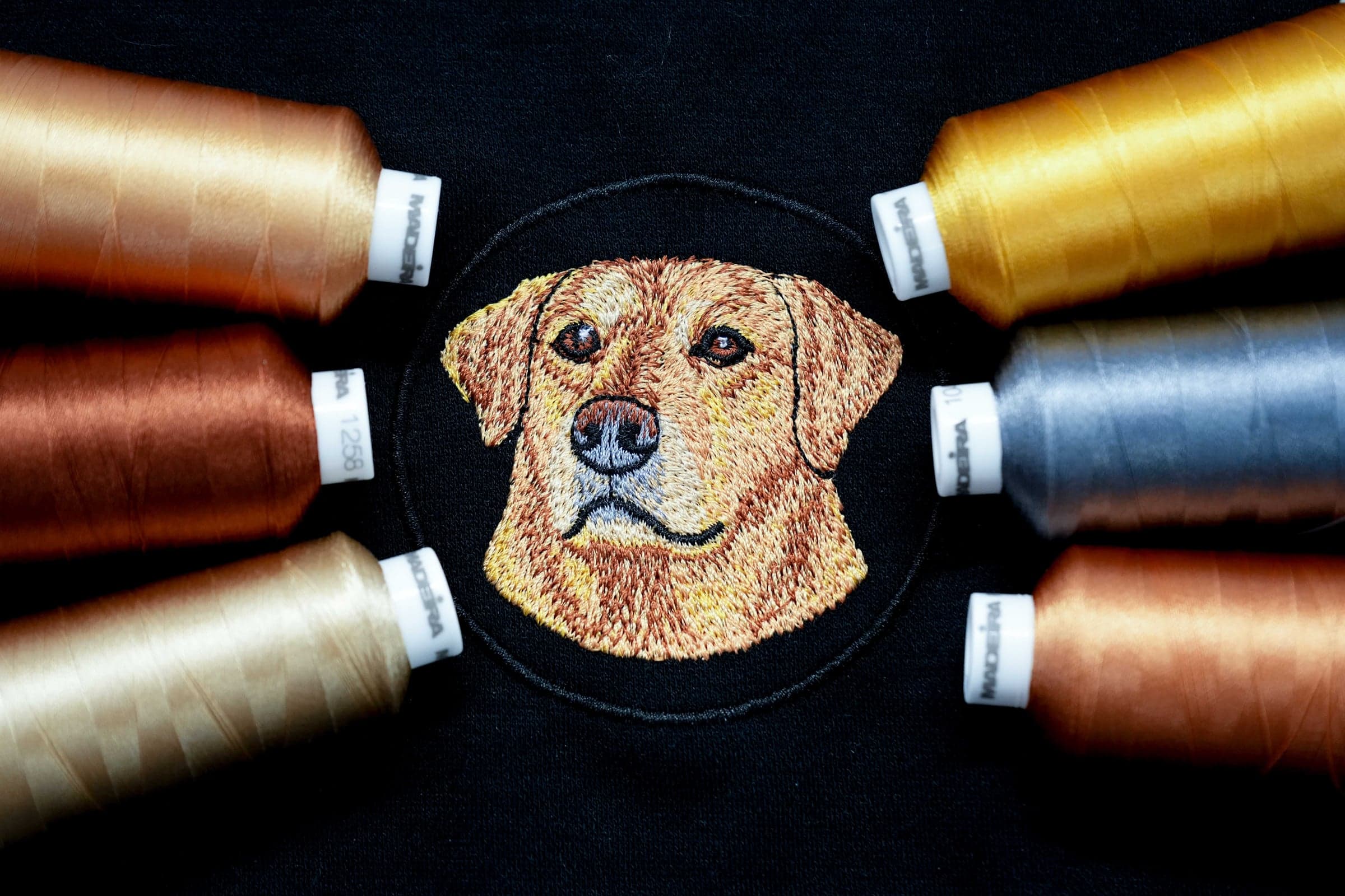 Animal Detail & Portraits